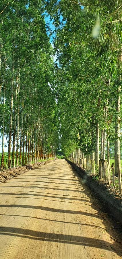 Casa Verde การาอิวา ภายนอก รูปภาพ